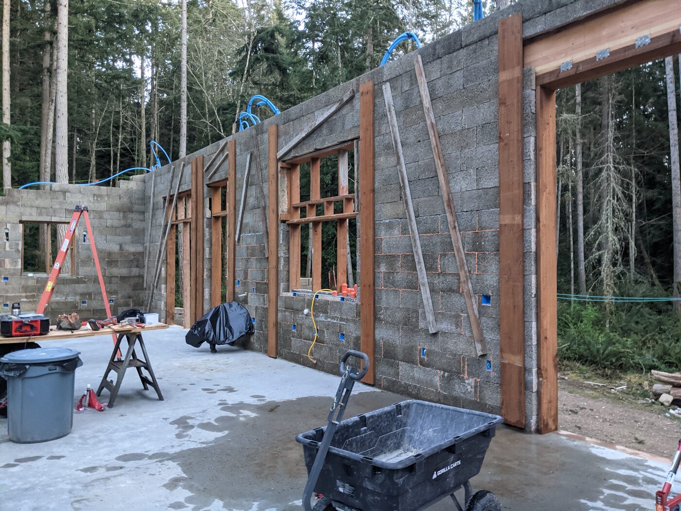 Faswall ICF block walls with window framing and blue PEX stubs, surrounded by Pacific Northwest forest